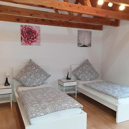 Apartment Ferienwohnung Geier *